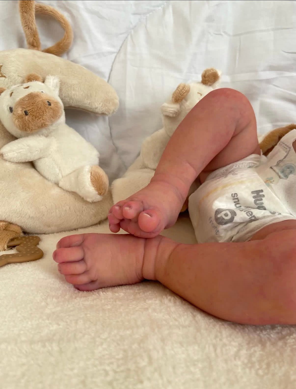 Muñeco Reborn Realista Ryan Niño 50cm y 1.700 kg + Pack Premium